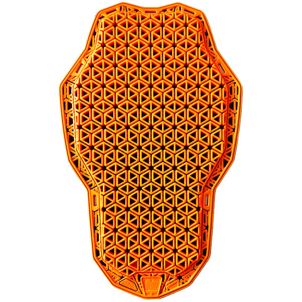 Richa Richa d3o back prot ghost viper l1